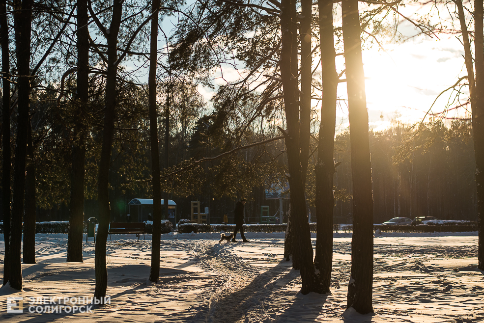 солнце и зима