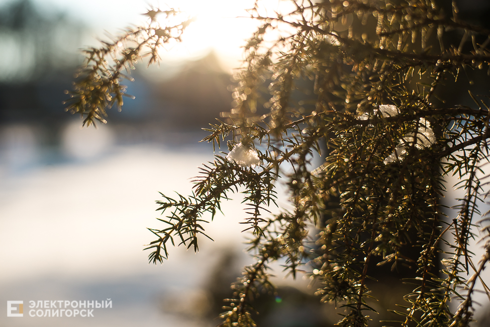 солнце и зима