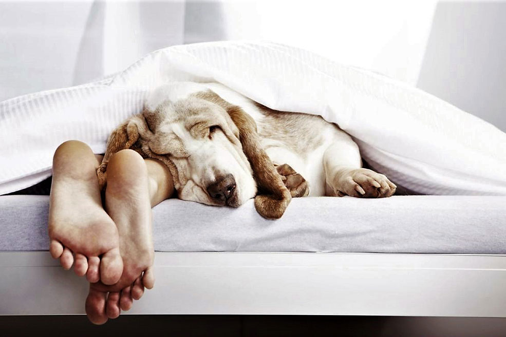 vostanovlenie 17 02 2022 4