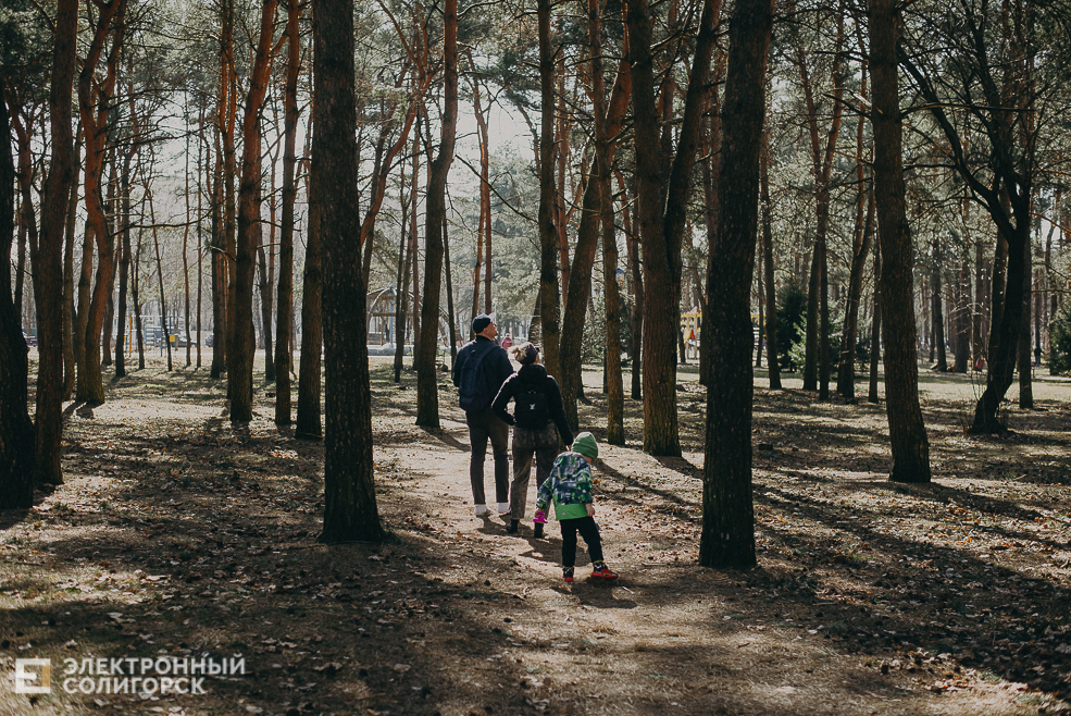 солнечная прогулка