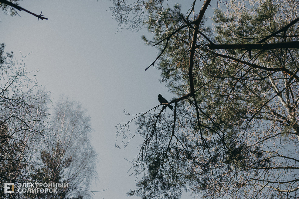 солнечная прогулка