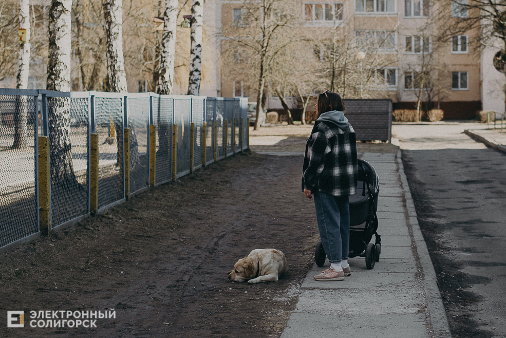 солнечная прогулка