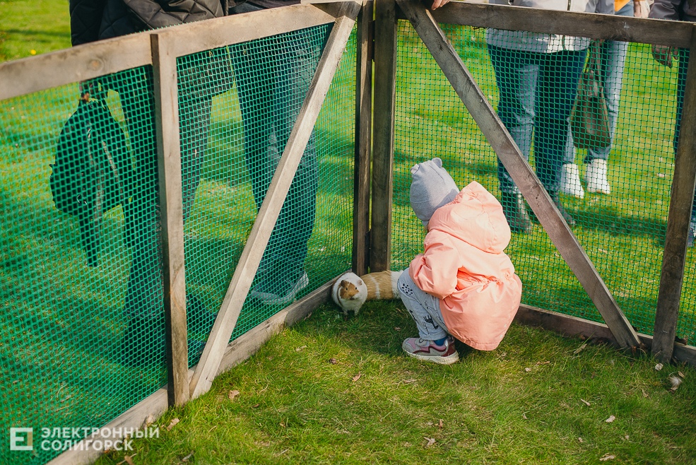 праздник 1 мая