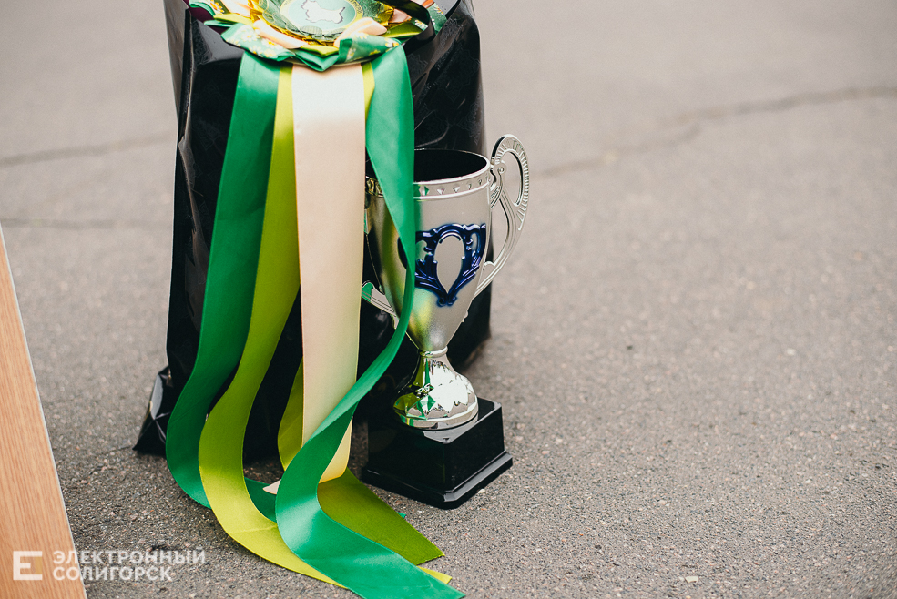 выставка собак