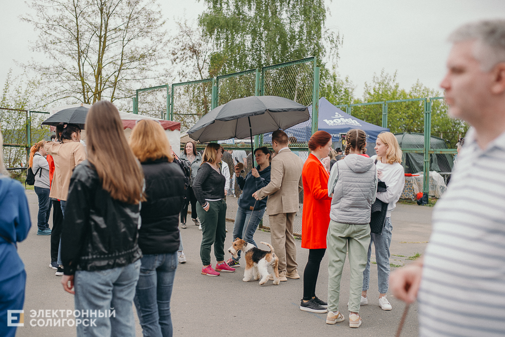 выставка собак