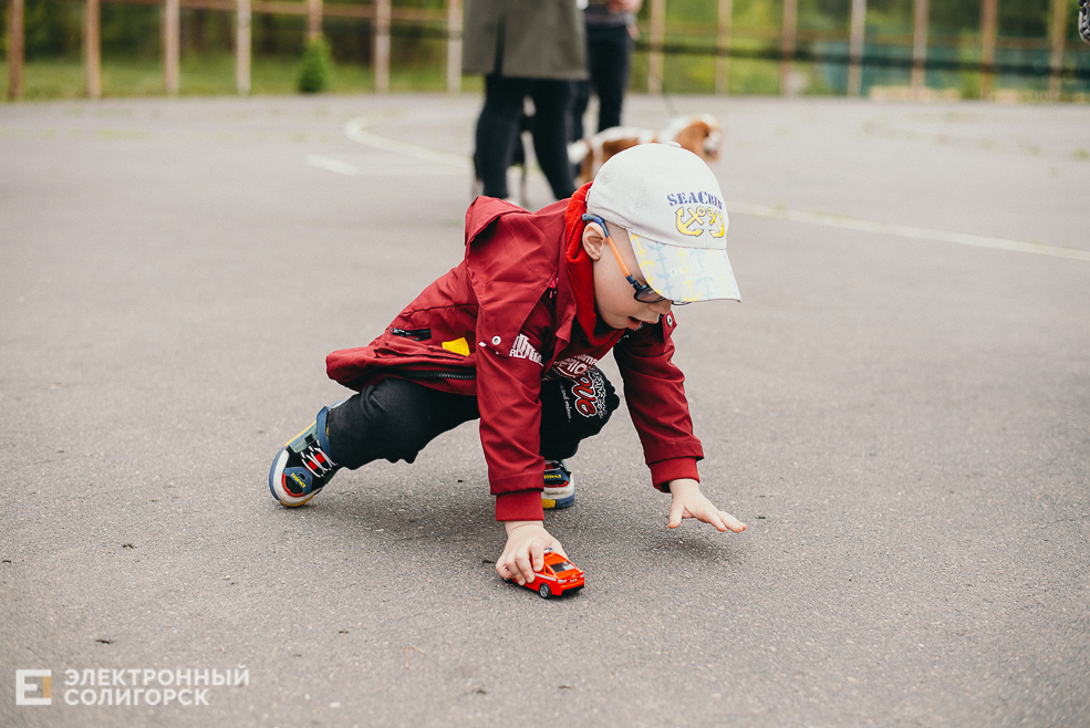 выставка собак