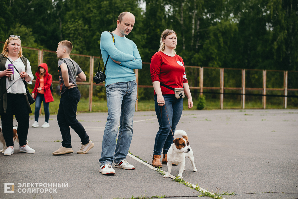 выставка собак