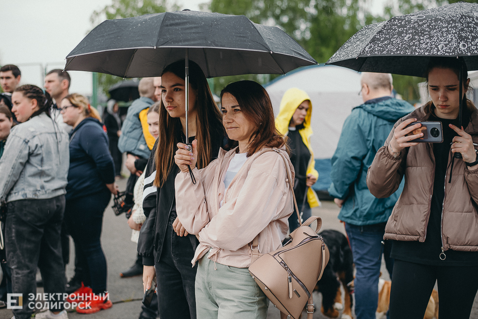 выставка собак