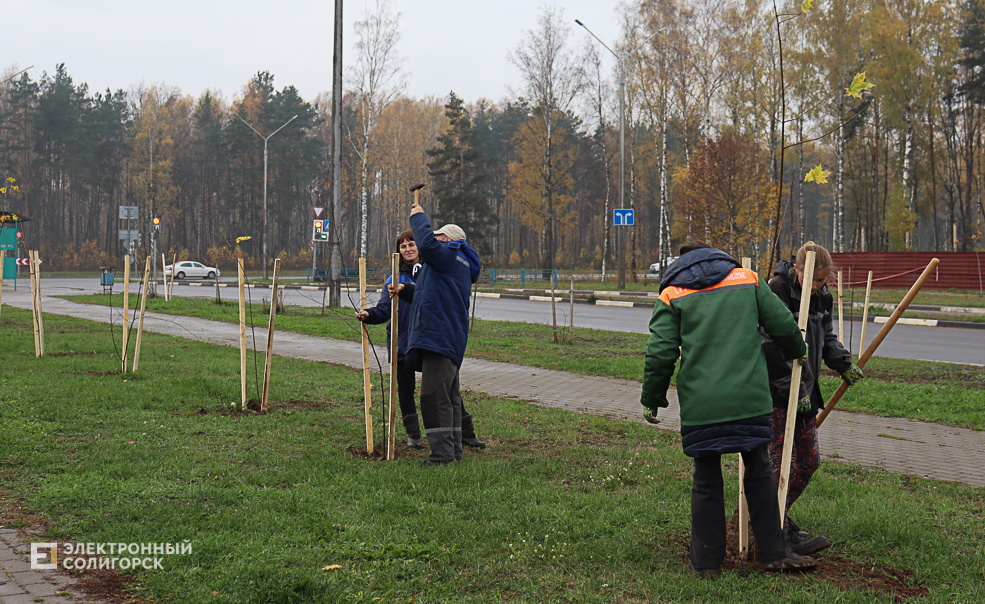 озеленение Солигорск