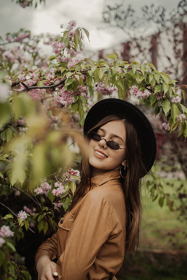 цветущие деревья