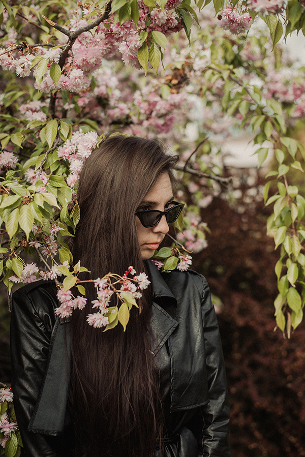 цветущие деревья