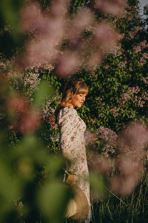 цветущие деревья