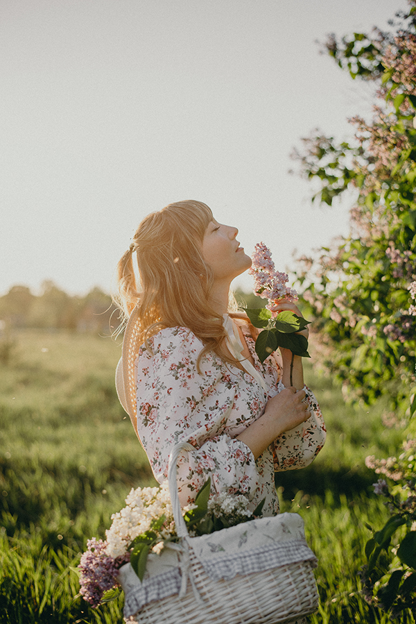 цветущие деревья