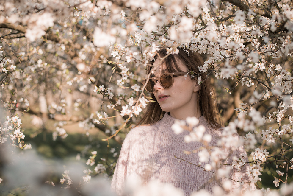 цветущие деревья