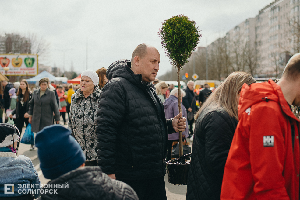 региональная ярмарка