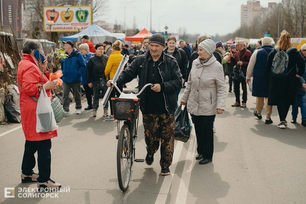 региональная ярмарка