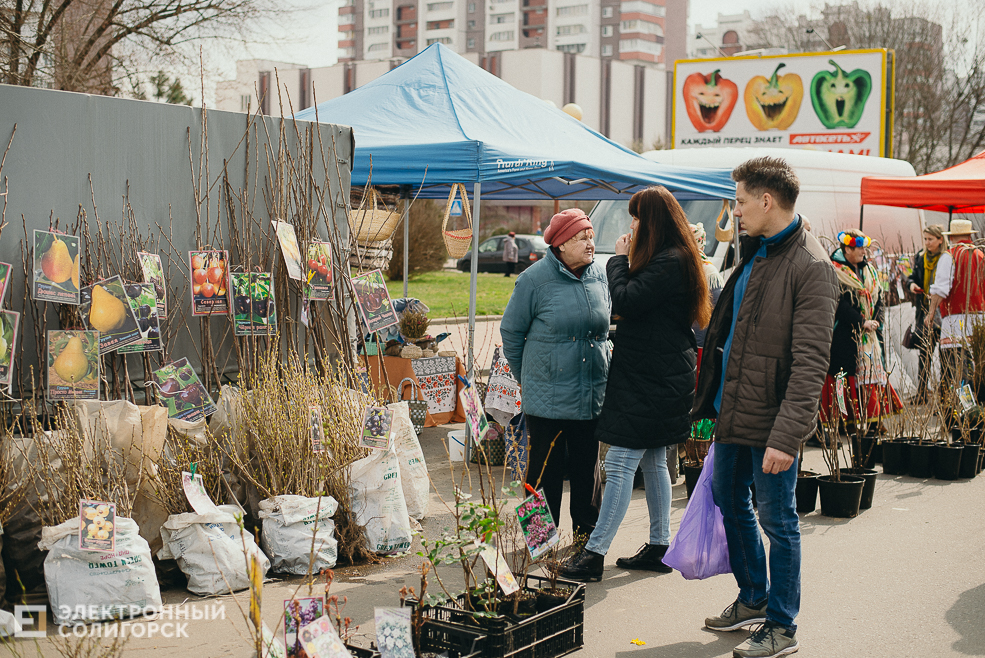 региональная ярмарка