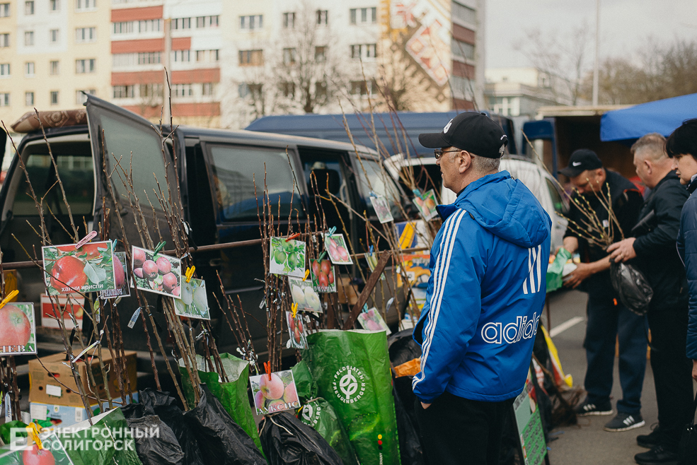региональная ярмарка