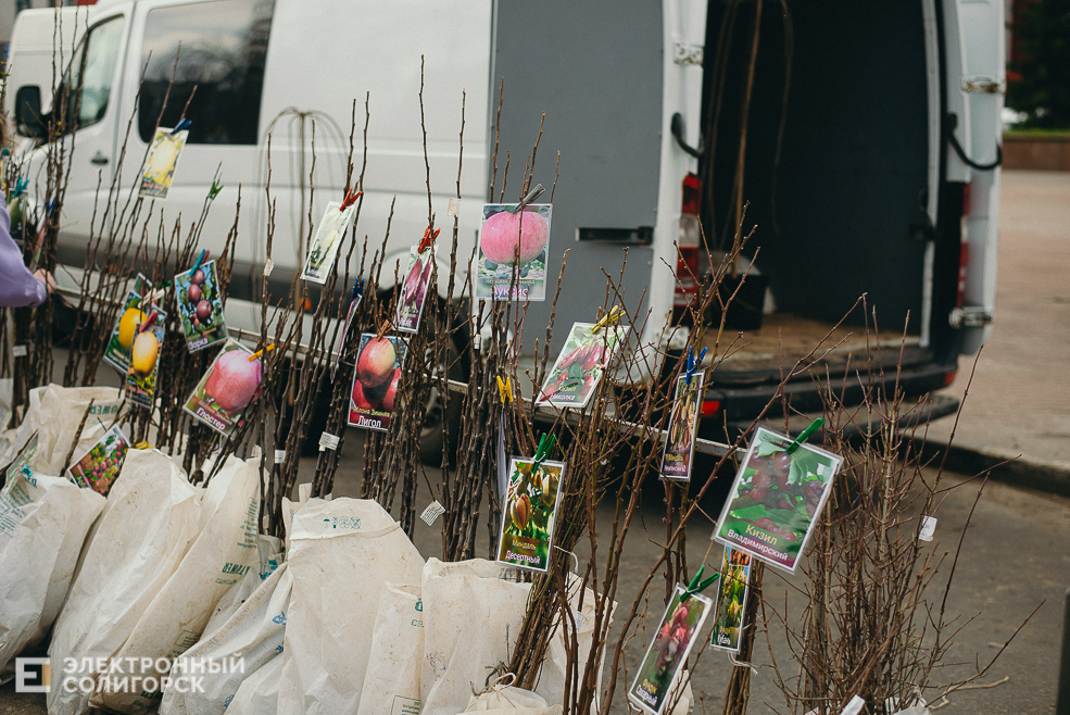 региональная ярмарка