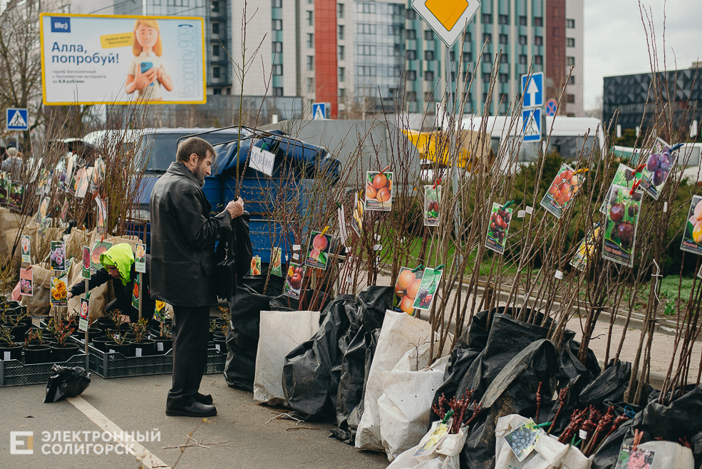 региональная ярмарка