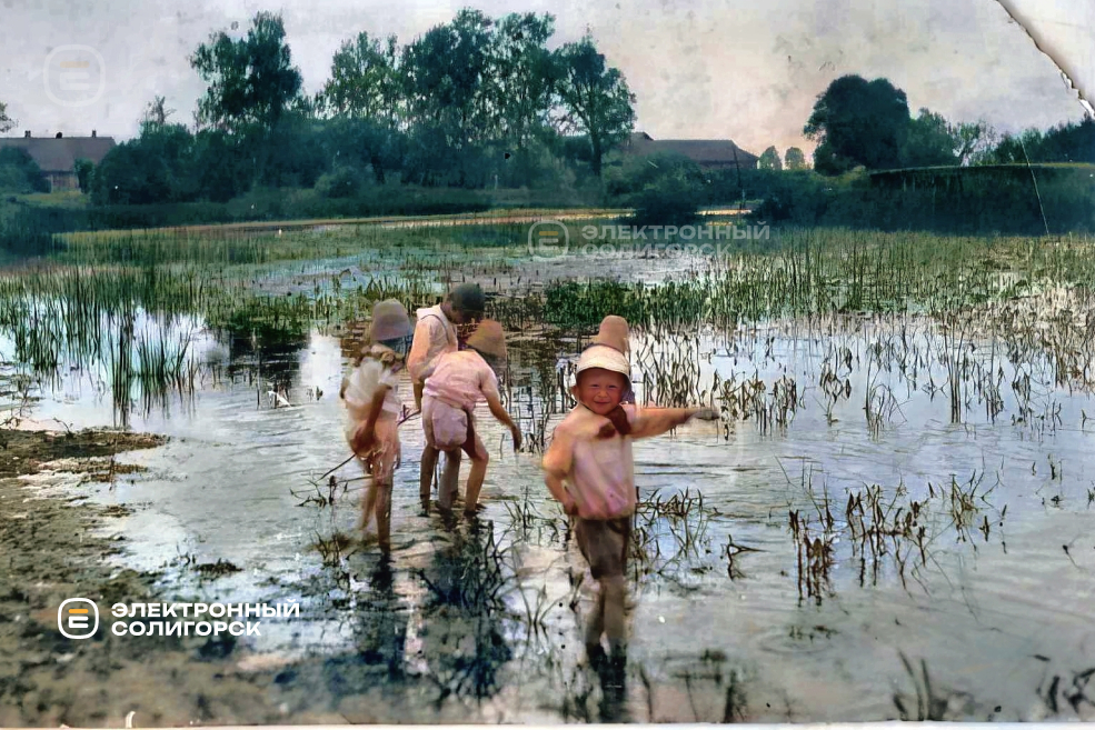 Имение Метявичи Слуцкого уезда