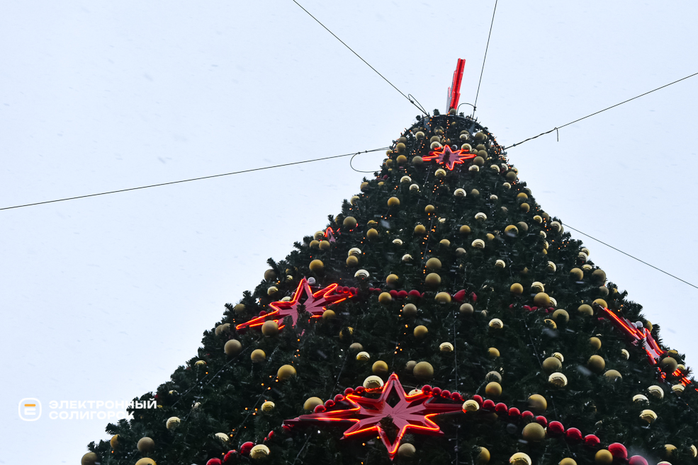 Парад Дедов Морозов и Снегурочек в Солигорске