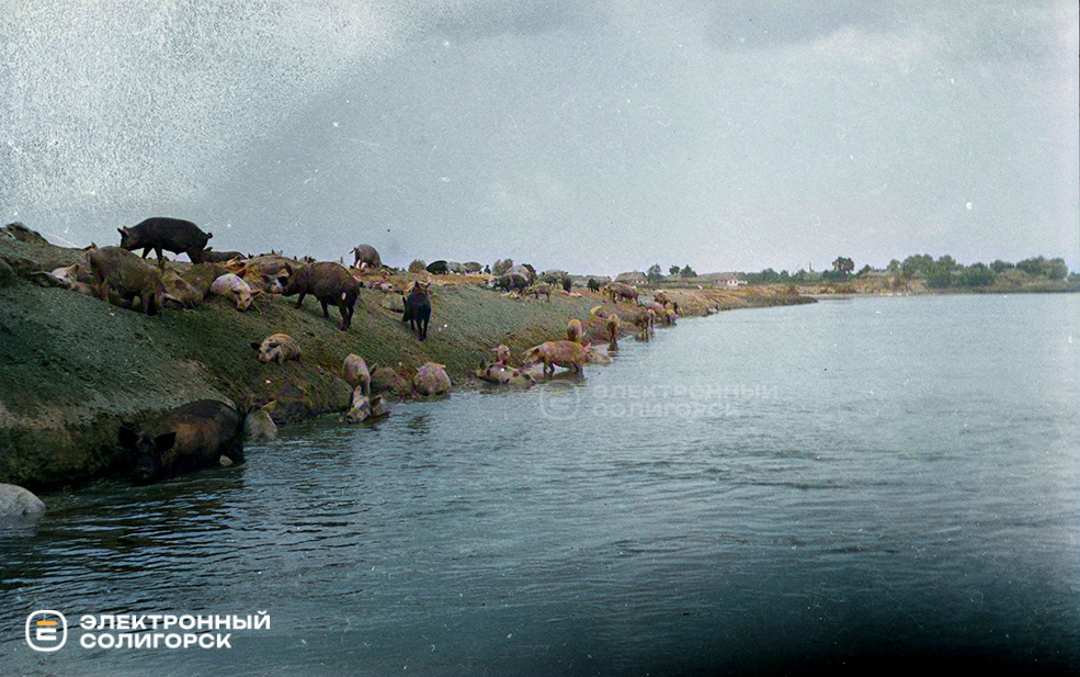 Жизнь и быт полесских крестьян