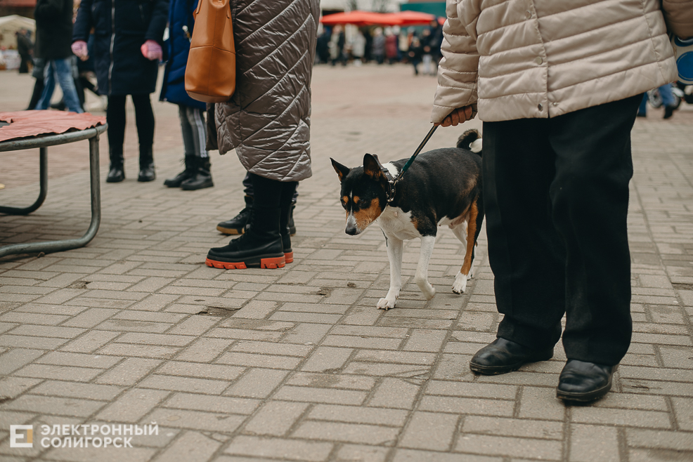 масленица 2023