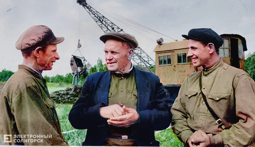 Bolota osushenie cvet