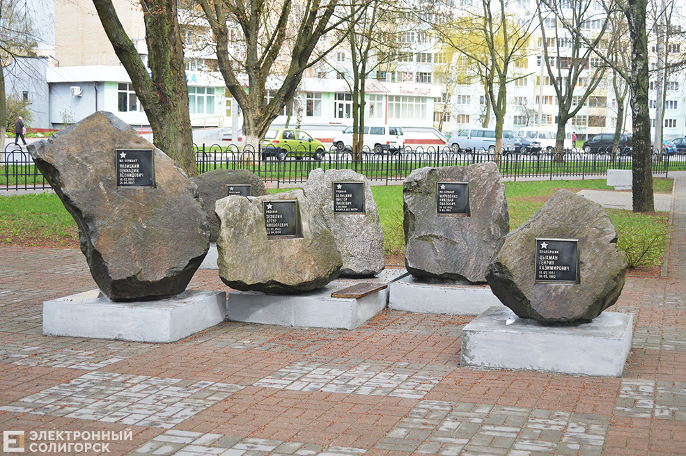 Чёрный тюльпан Солигорск