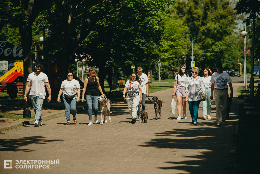 3 июля 2023 дневная атмосфера