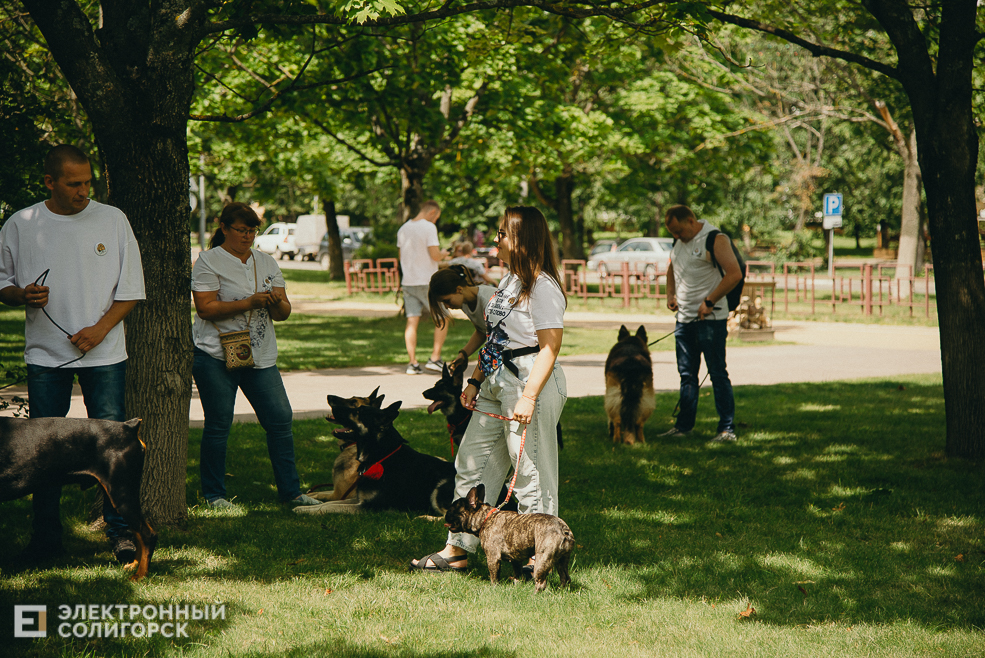 3 июля 2023 дневная атмосфера