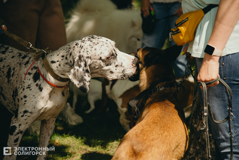 3 июля 2023 дневная атмосфера