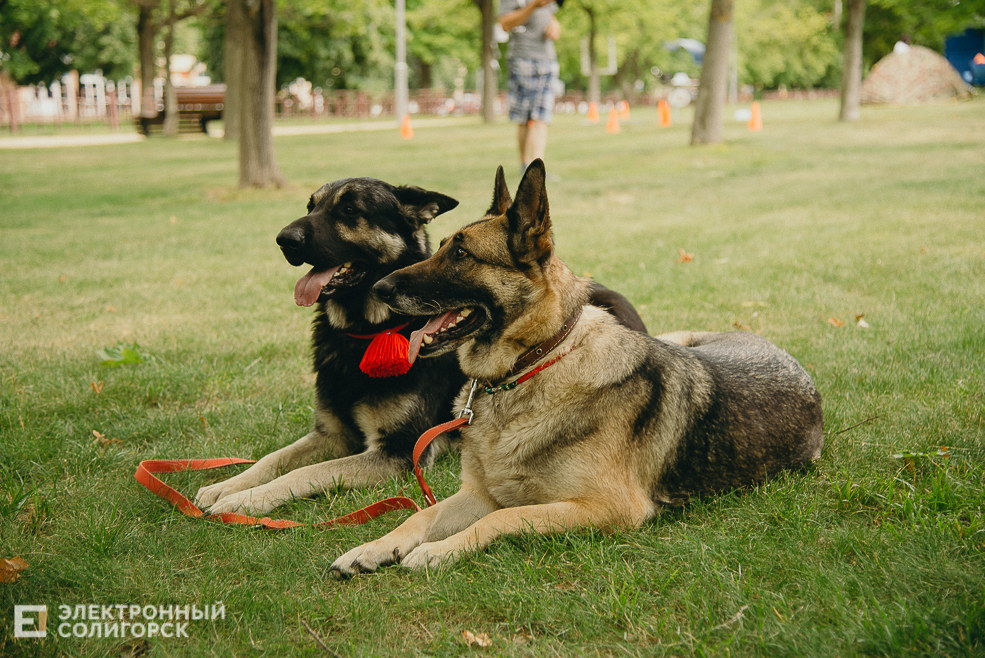 3 июля 2023 дневная атмосфера