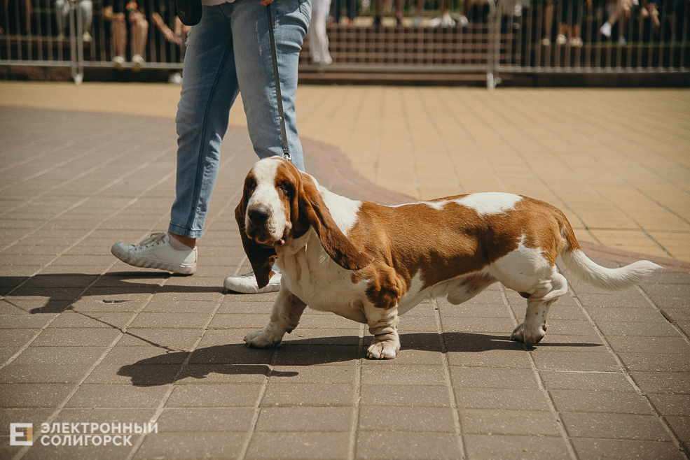 3 июля 2023 дневная атмосфера