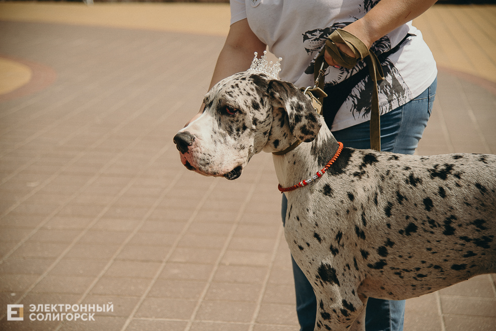 3 июля 2023 дневная атмосфера