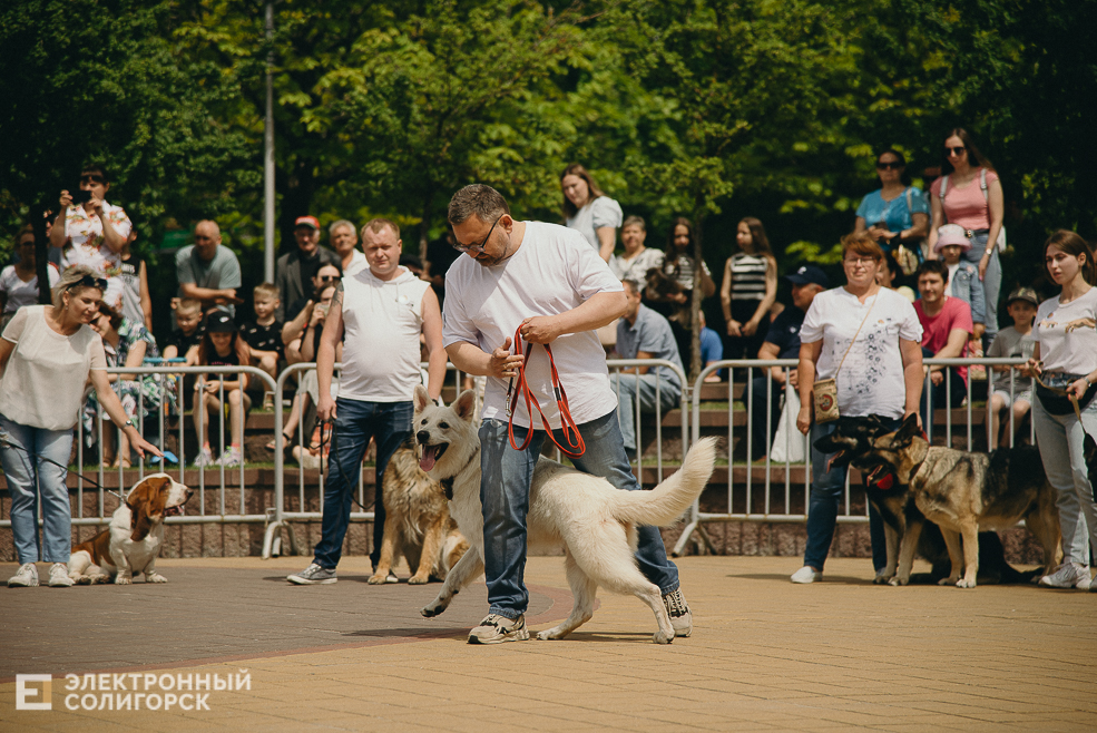 3 июля 2023 дневная атмосфера