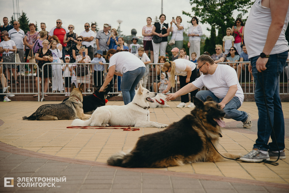 3 июля 2023 дневная атмосфера