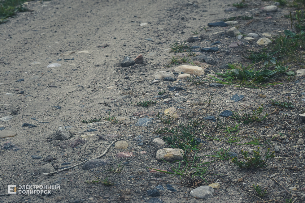 Красная Слобода Солигорского района