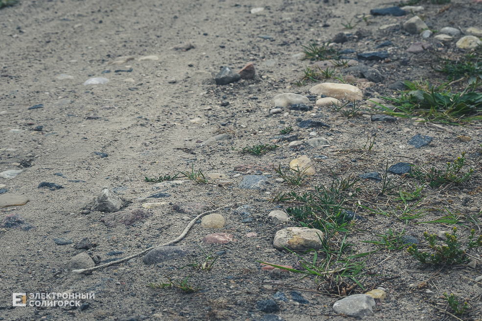 Красная Слобода Солигорского района