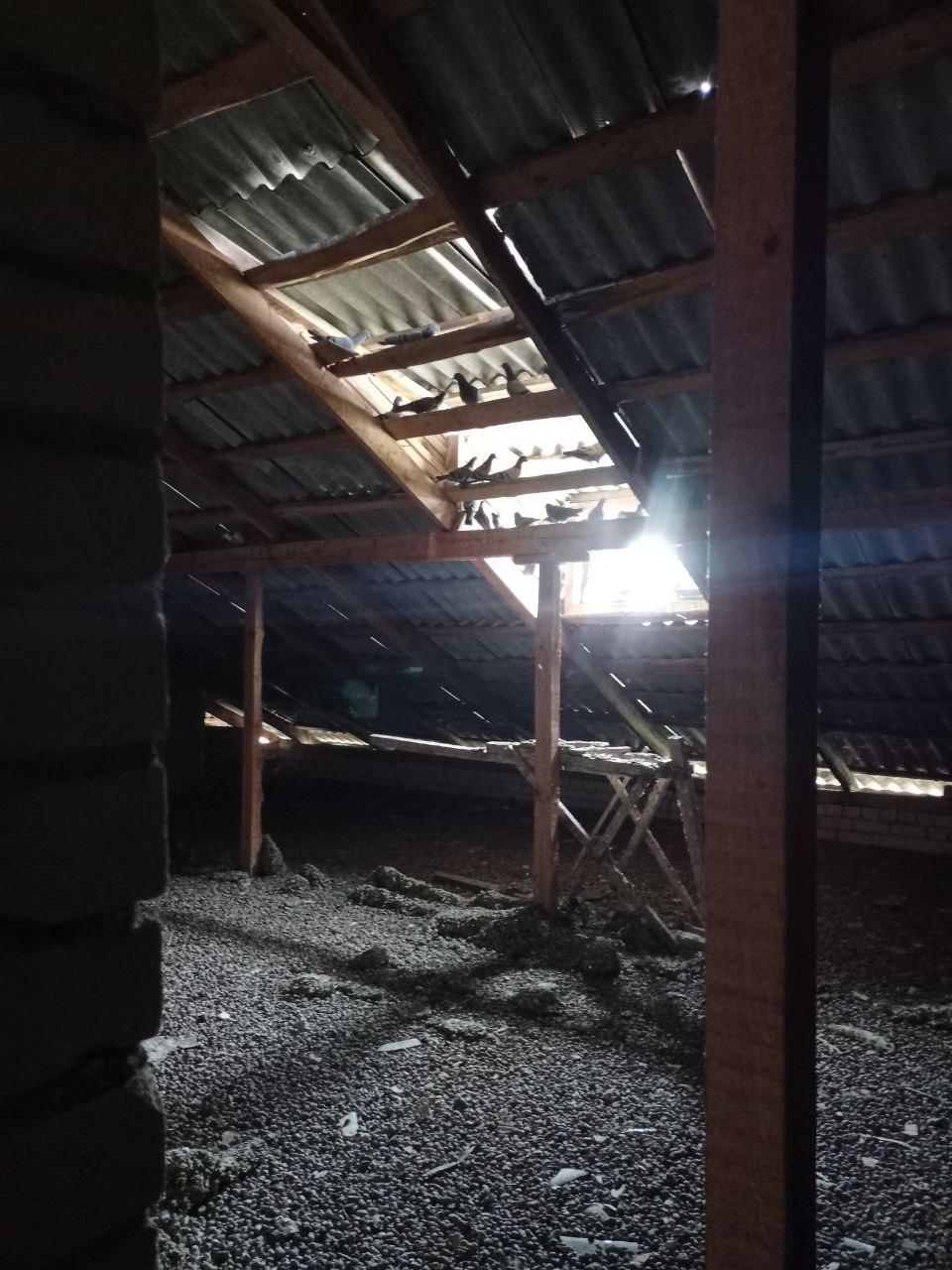 Красная Слобода Солигорского района