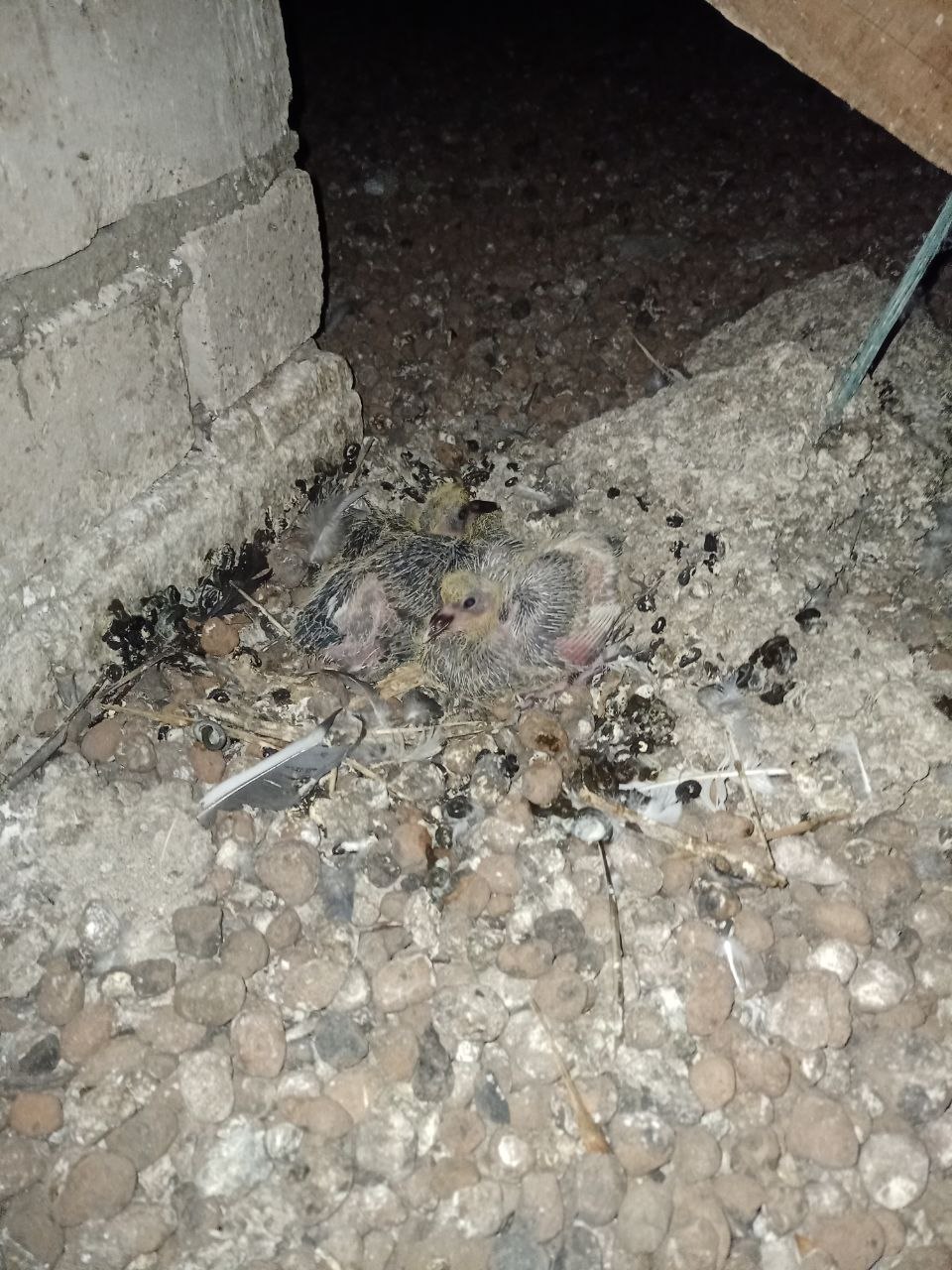 Красная Слобода Солигорского района