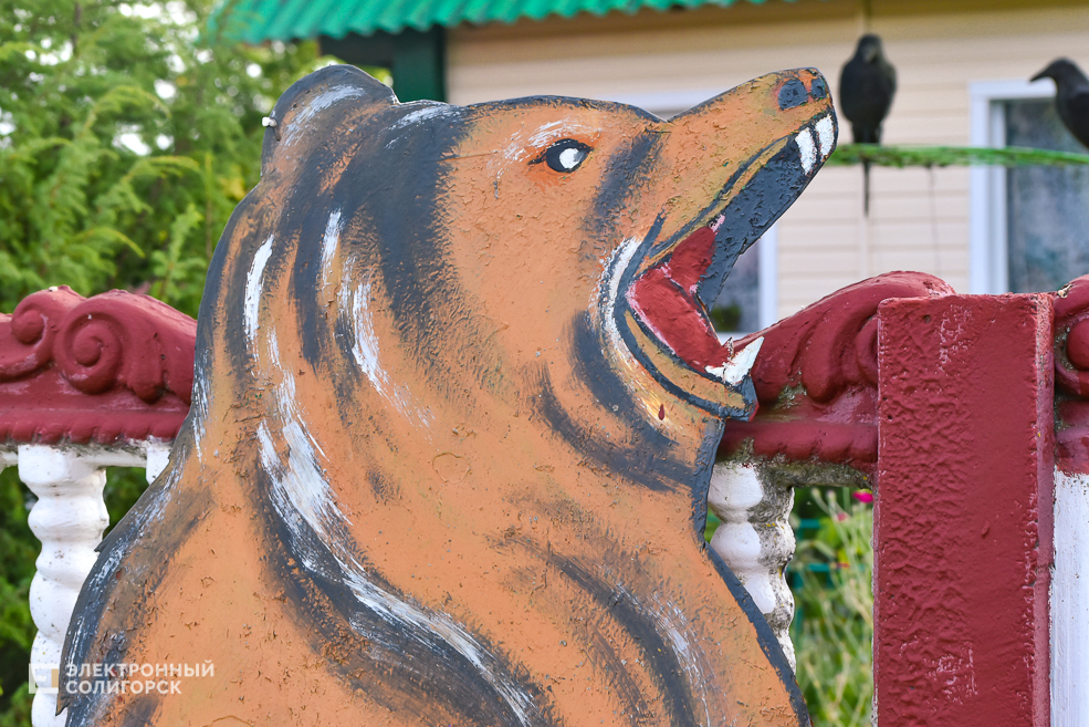 Деревня Паничи Слуцкого района