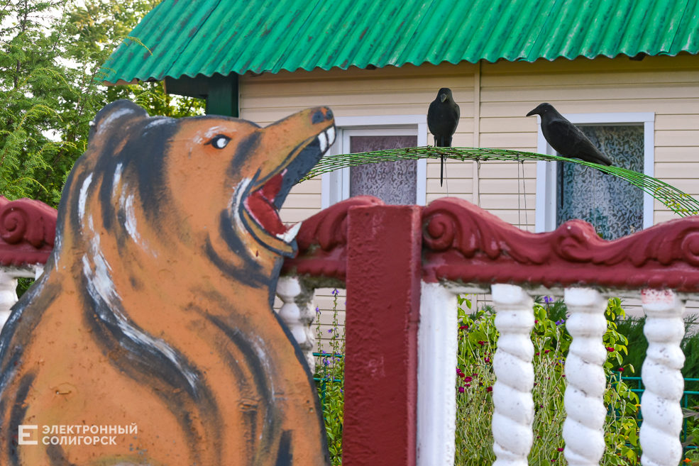 Деревня Паничи Слуцкого района
