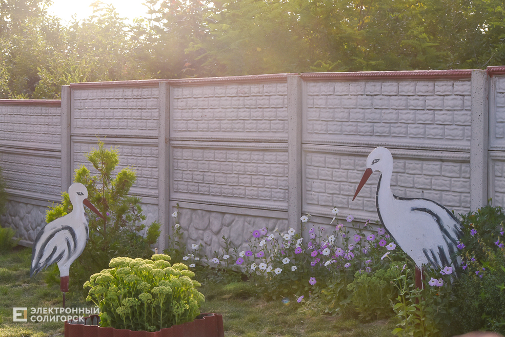 Деревня Паничи Слуцкого района