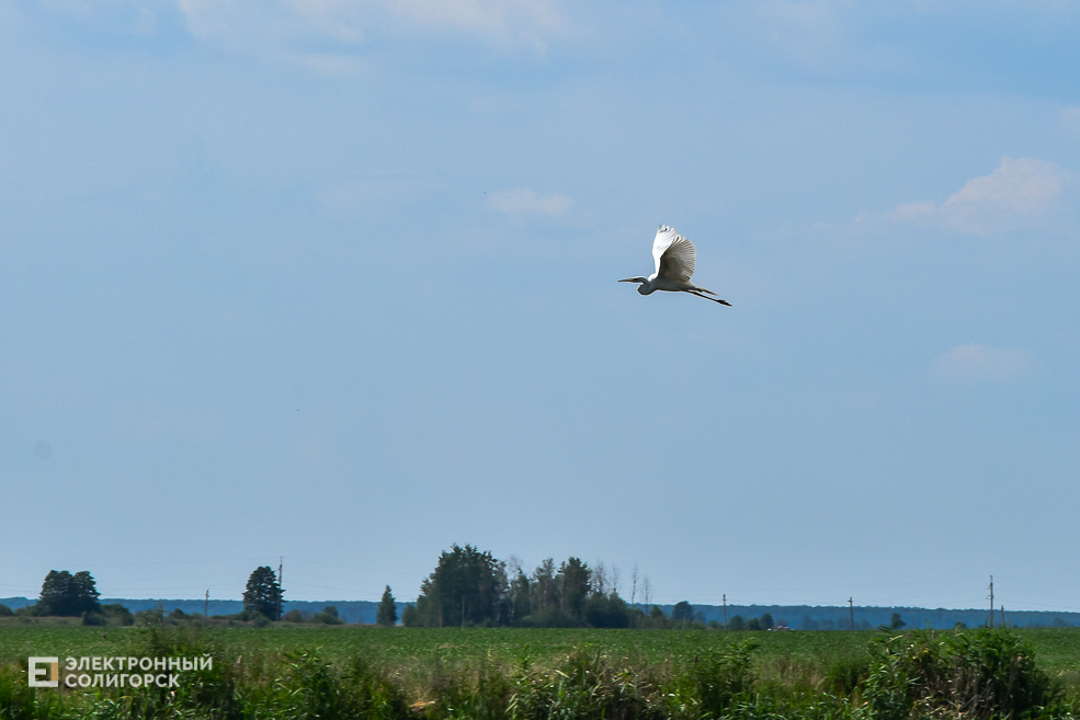 Природа Солигорского района
