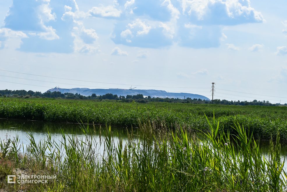 Природа Солигорского района