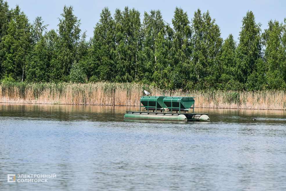 Природа Солигорского района