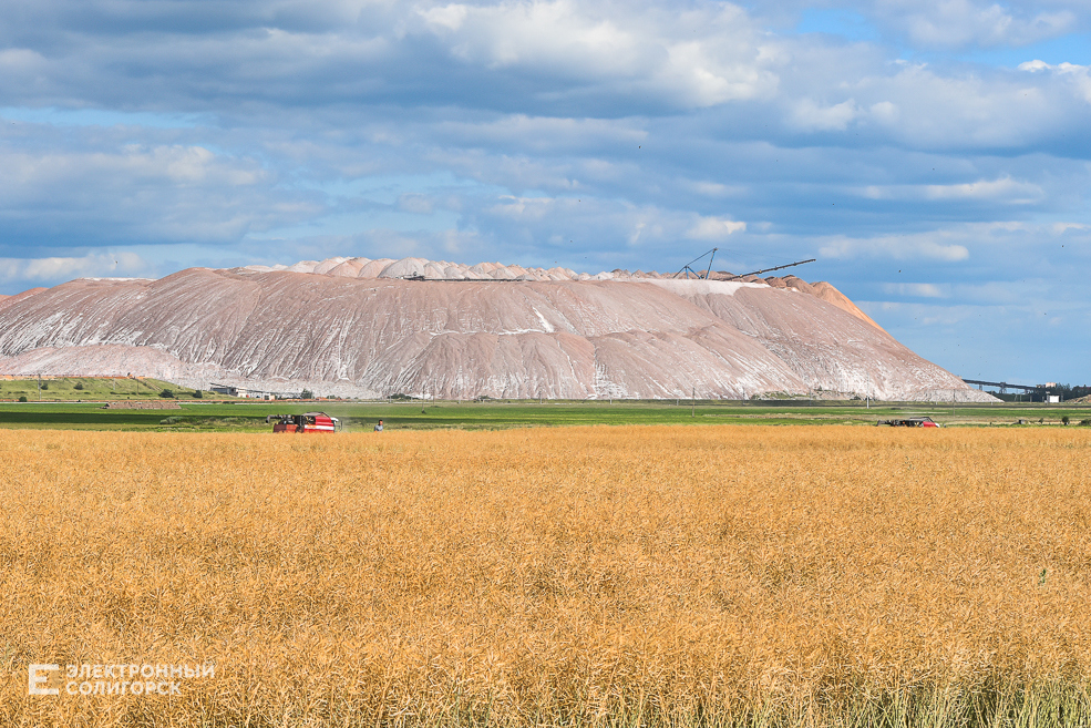 Природа Солигорского района