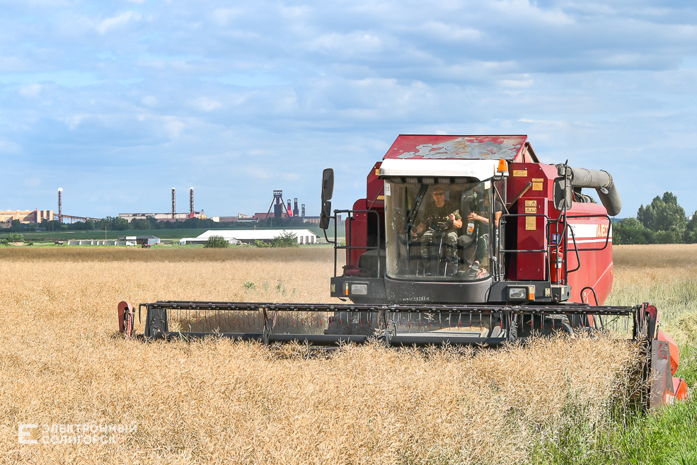 Уборочная в Солигорском районе